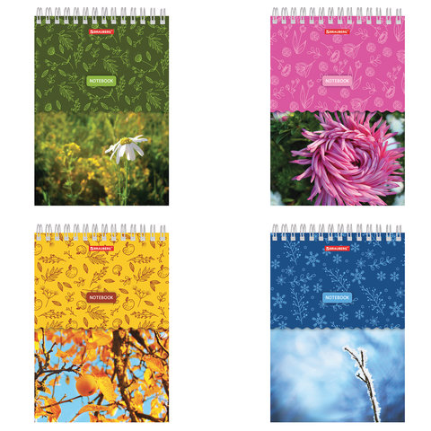 Блокнот А5, 146х205 мм, 60 л., гребень, картон, жесткая подложка, клетка, BRAUBERG, "Четыре сезона", 129811