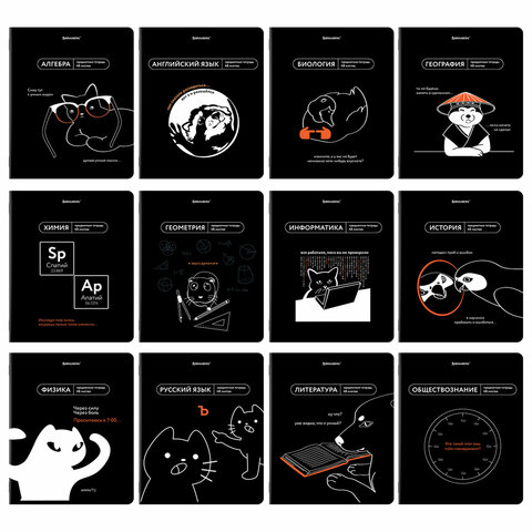 Тетради предметные, КОМПЛЕКТ 12 ПРЕДМЕТОВ, 48 л., TWIN-лак, BRAUBERG "МЕМЫ", 405172