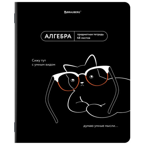 Тетрадь предметная МЕМЫ 48 л., TWIN-лак, АЛГЕБРА, клетка, подсказки, BRAUBERG, 405096