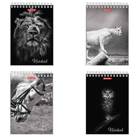 Блокнот А5, 146х205 мм, 60 л., гребень, картон, жесткая подложка, клетка, BRAUBERG, "Животные", 129810