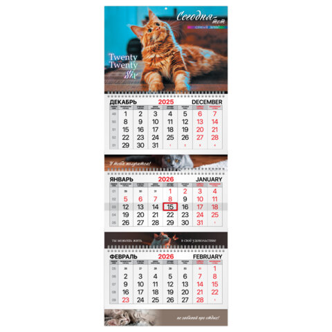 Календарь квартальный 2026 г., 3 блока, 3 гребня, бегунок, мелованная бумага, BRAUBERG EXTRA, "Котик", 116824