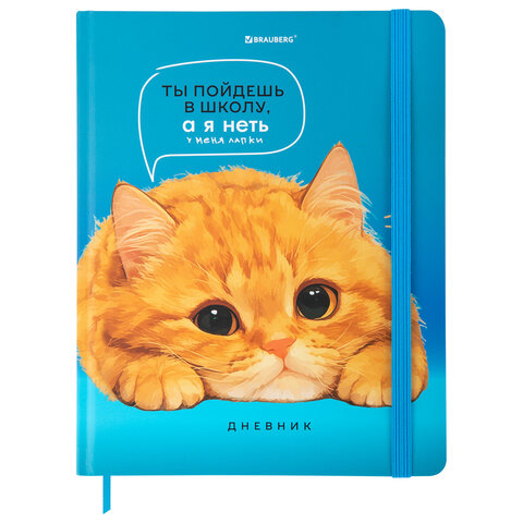 Дневник 1-11 класс 48 л., твердый, BRAUBERG, матовая ламинация, резинка, закладка-ляссе, с подсказом, "Котик", 107239