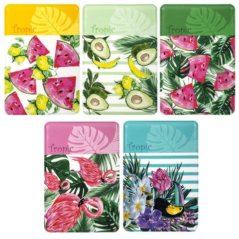 Обложка-карман для проездных документов, карт, пропусков "Tropic", 100х65 мм, ПВХ, фотопечать ассорти, STAFF, 237595