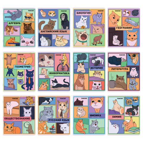 Тетради предметные, КОМПЛЕКТ 12 ПРЕДМЕТОВ, 48 л., TWIN-лак, FUNSTER (ФАНСТЕР), МЕМНЫЕ КОТЫ, 405604