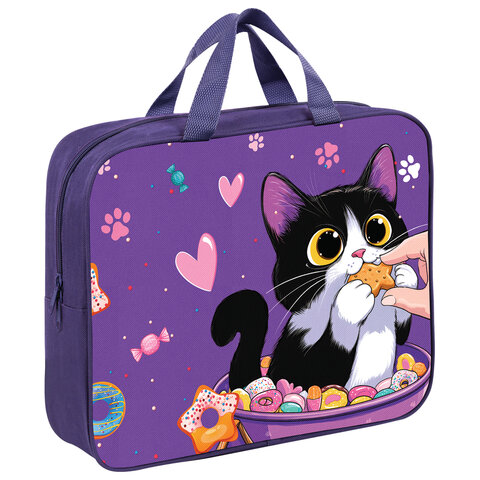 Папка на молнии с ручками BRAUBERG KIDS А4, 1 отделение, полиэстер, 80 мм, "Sweet cheeks", 272120