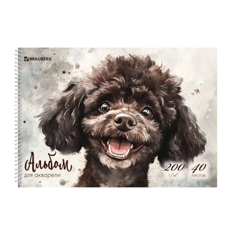 Альбом для акварели А4 40 л., бумага 200 г/м2, гребень, твердая подложка, BRAUBERG, "Пудель", 116885