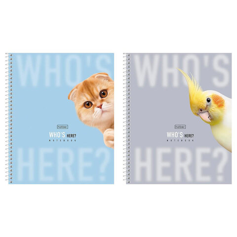 Тетрадь А5 96 л., HATBER, спираль, линия, матовая ламинация, "Кто здесь?" (микс в спайке), 093672, 96Т5лВ2сп