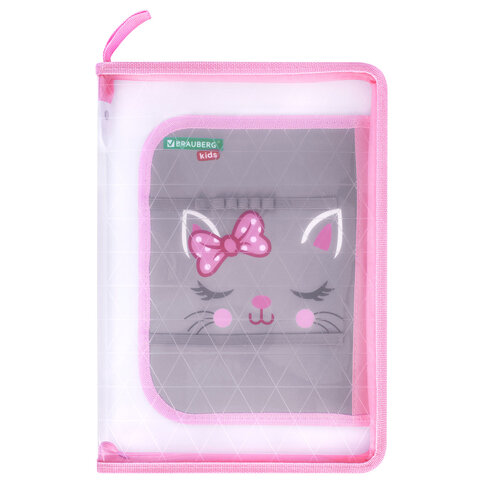 Папка для труда на молнии BRAUBERG KIDS А4, 1 отделение, прозрачная, органайзер, "Tiny cutie", 273397