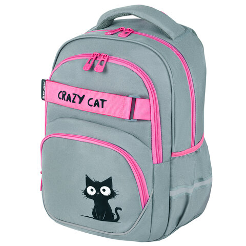 Рюкзак BRAUBERG MOTION, 2 отделения, 3 кармана, "Crazy cat", 41х28х17 см, 273115