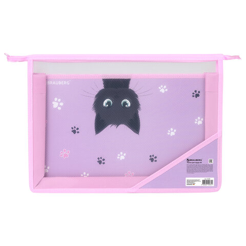 Папка для труда BRAUBERG А4, 2 отделения, пластик, молния сверху, органайзер, "Hide and seek", 273399