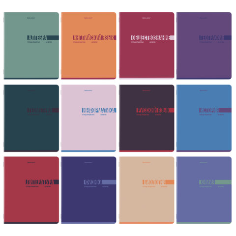 Тетради предметные, КОМПЛЕКТ 12 ПРЕДМЕТОВ, 48 л., обложка картон, BRAUBERG "VIBE", 405163