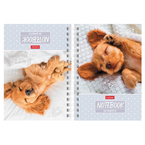 Блокнот МАЛЫЙ ФОРМАТ А6, 80 л., гребень, твердый картон, клетка 2 цв., HATBER, "Носики-курносики", 082842, 80ЗКтд6В1гр_301