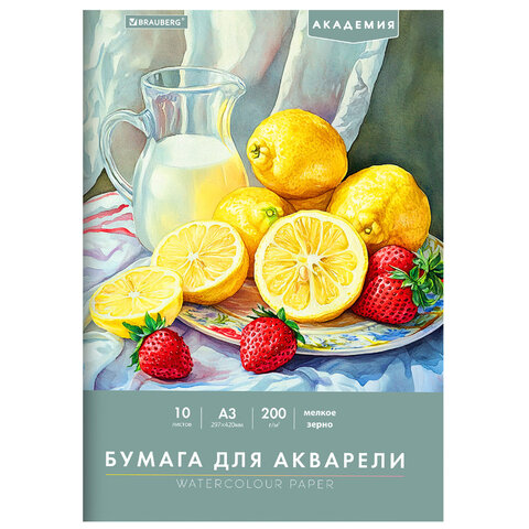 Папка для акварели БОЛЬШАЯ А3, 10 л., 200 г/м2, 297х420 мм, BRAUBERG АКАДЕМИЯ, "Летний натюрморт", 117741