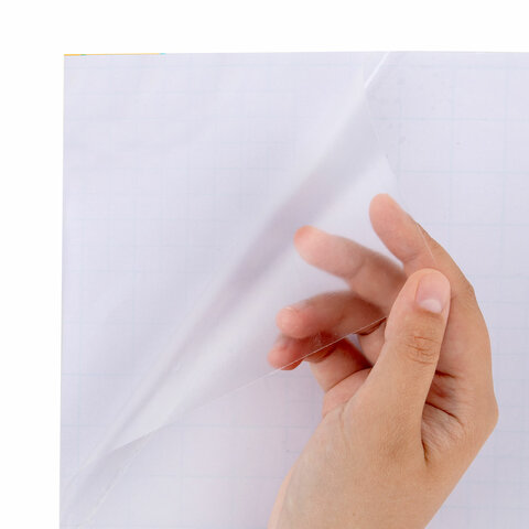 Пленка самоклеящаяся для учебников и книг, 45х30 см, комплект 10 шт., глянцевая, ПИФАГОР, 227202