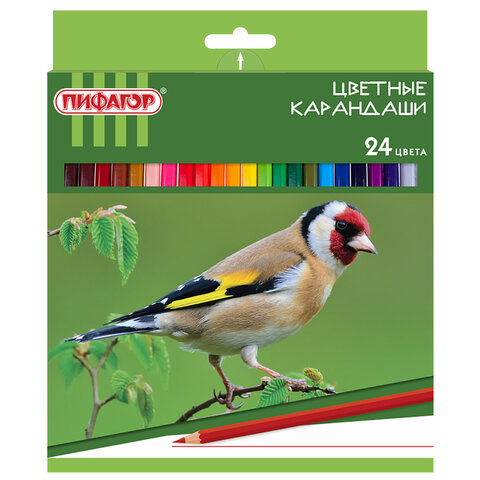 Карандаши цветные ПИФАГОР "ЛЕСНЫЕ ЖИТЕЛИ", 24 цвета, шестигранные, 181336
